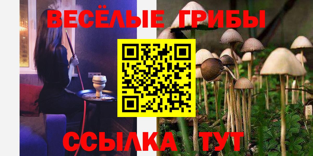 Соликамск  Псилоцибиновые грибы Psilocybe  Вход с VPN 